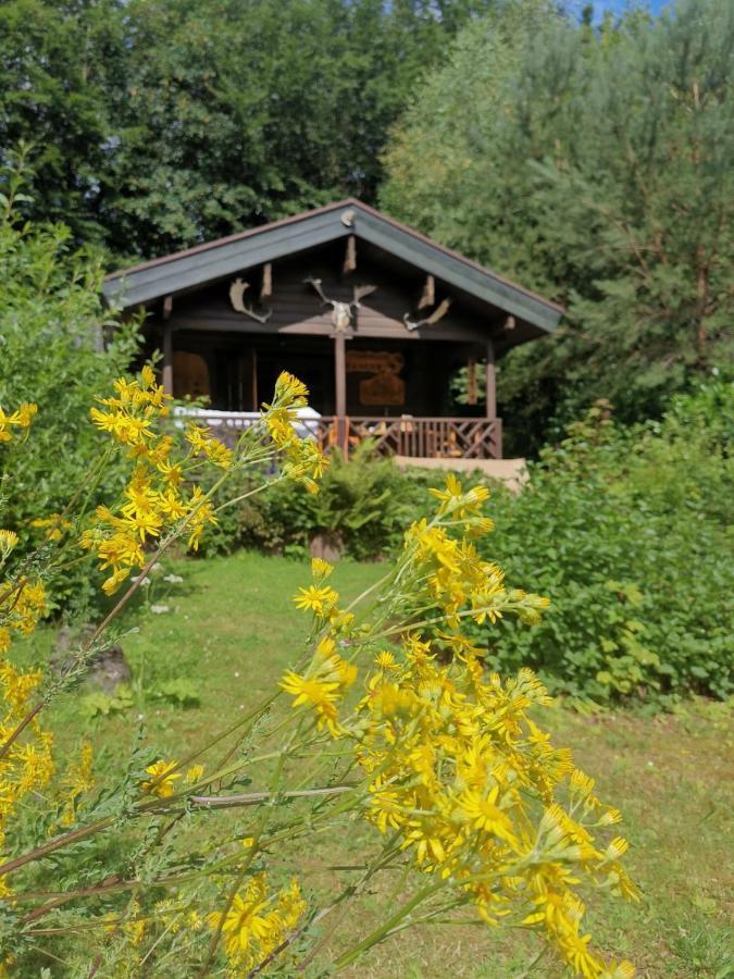 Blockhaus Am Twistesee Mit 3 Schlafzimmern Abádszalók ภายนอก รูปภาพ